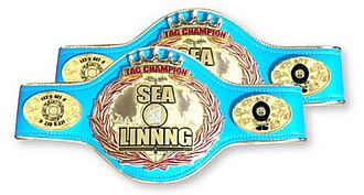 330px-Bts_tagteam_title