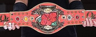 330px-Oz_Academy_Pioneer_3-Way_Championship