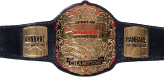 330px-Spirit_of_Ganbare_World_Openweight_Championship
