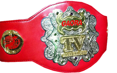 All_Japan_Pro_Wrestling_GAORA_TV_Championship