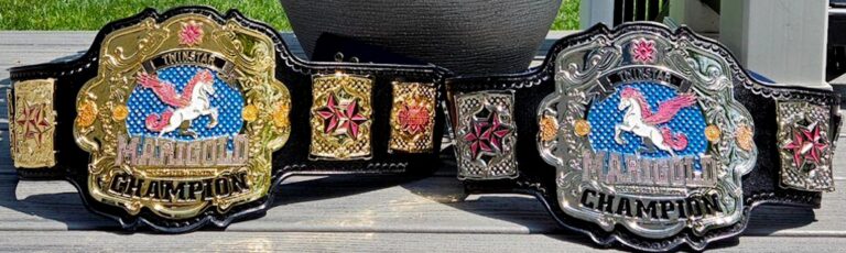 twinstar-of-marigold-championships-tag-team-championships-v0-jb2kv69lvcfd1