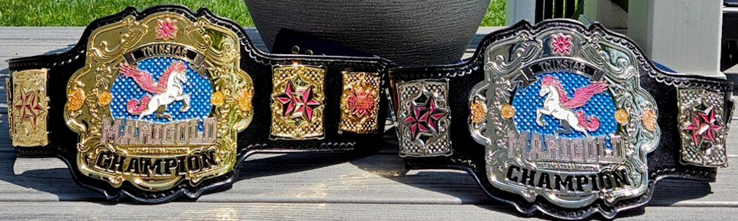 twinstar-of-marigold-championships-tag-team-championships-v0-jb2kv69lvcfd1