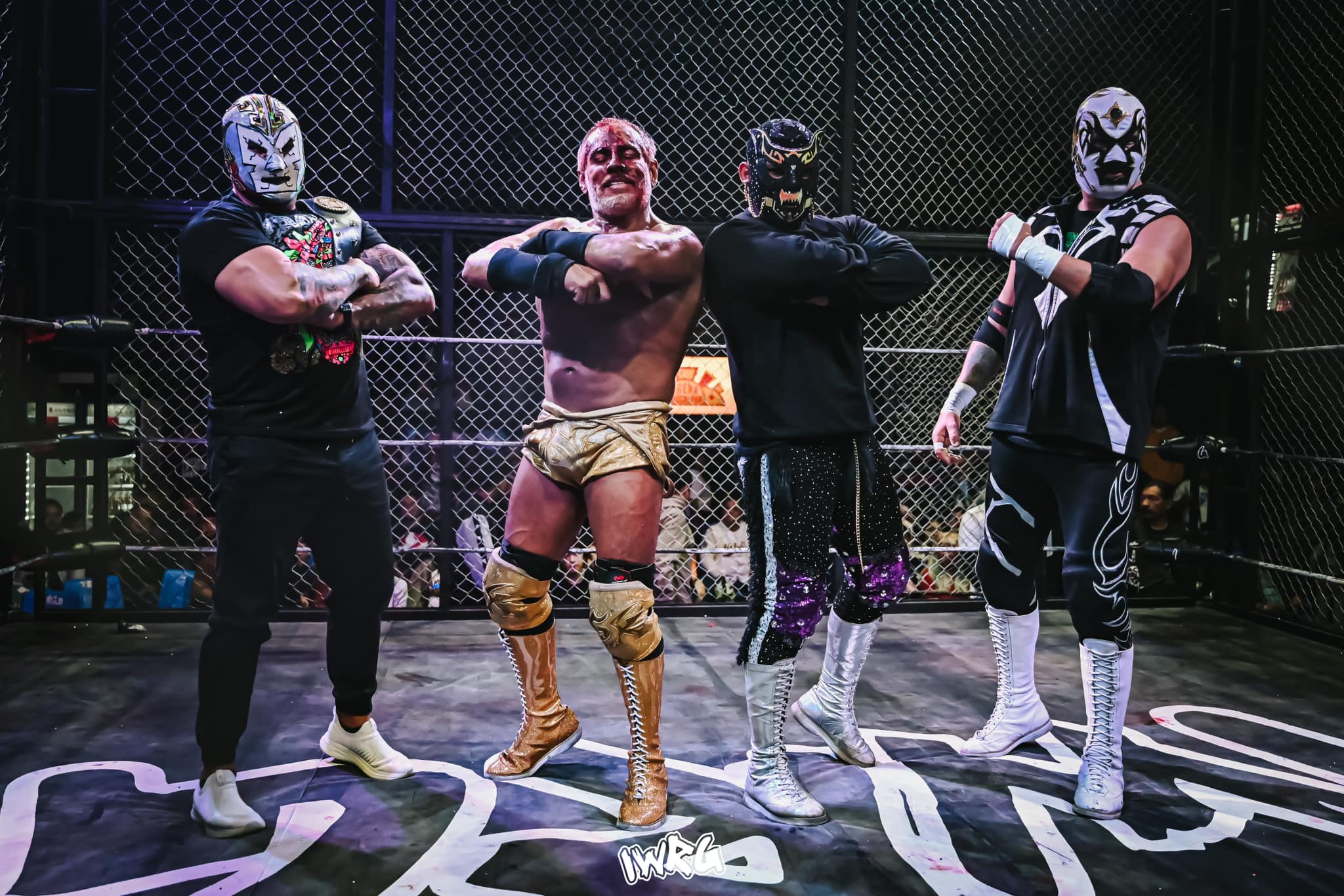 o2048136615540418326