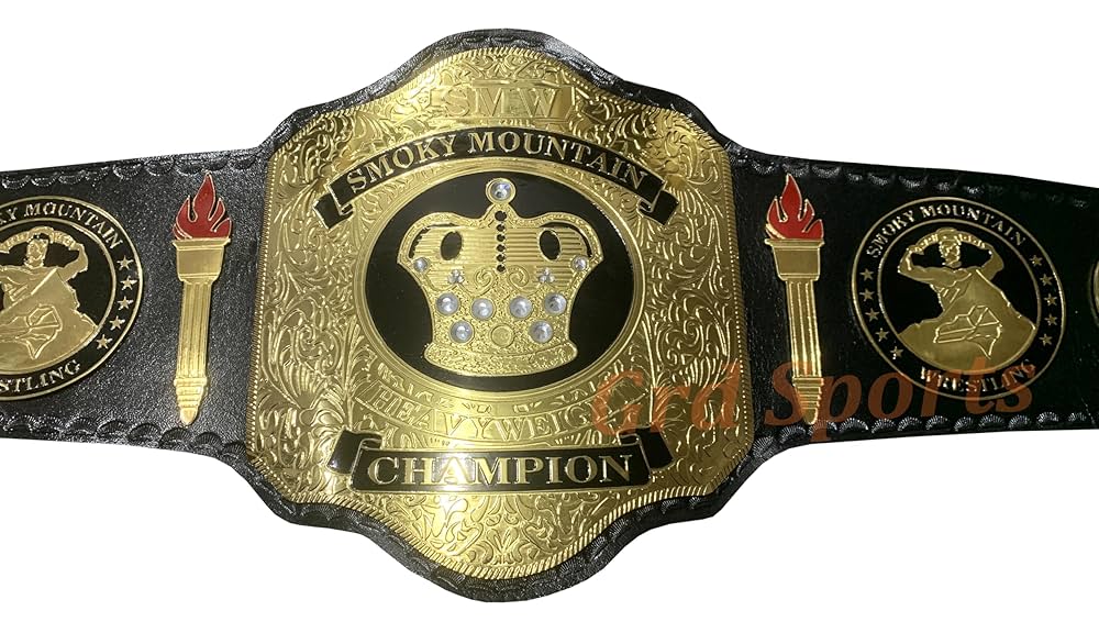 81DP0U2vfPL._UF10001000_QL80_