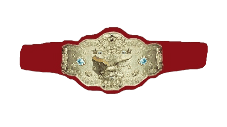 nwa-womens-tag-team-championship-1