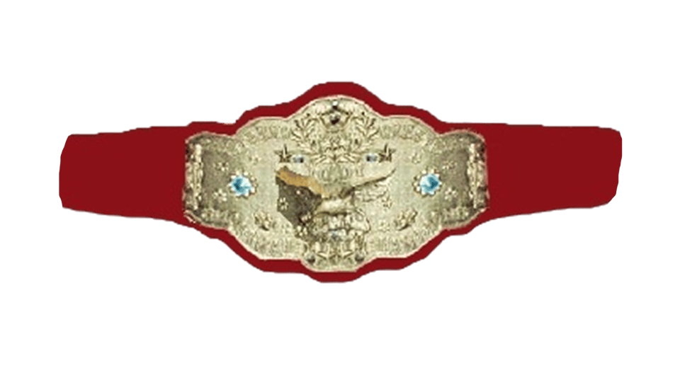 nwa-womens-tag-team-championship-1