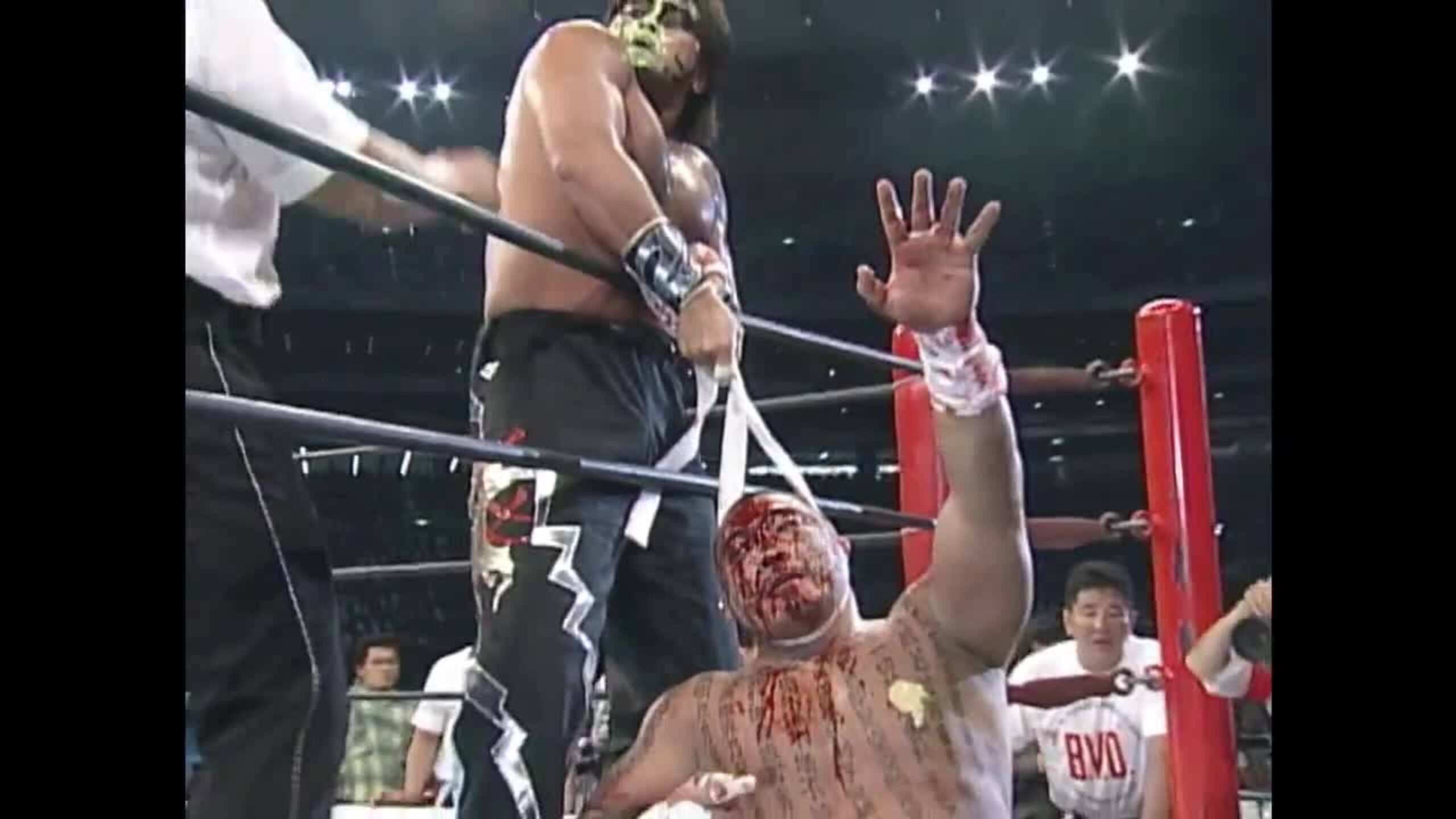 1995_fbb89d56768ff758b23a22b8a63d132b