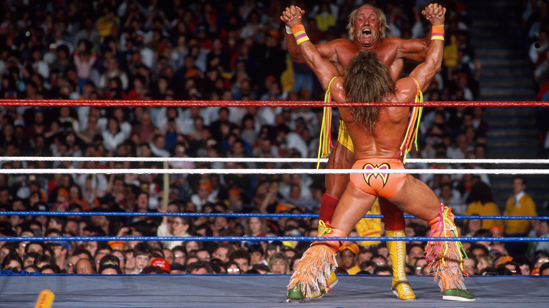 MV5BZDQxMDVkMWEtMzM5OS00NWI4LTg1NzItNmZiNDYzNTQ5MTI5XkEyXkFqcGc._V1_